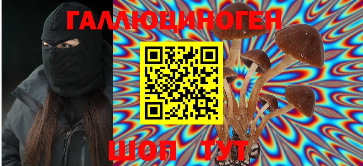 Галлюциногенные грибы Psilocybe Нефтеюганск